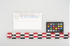 Etikett zu Eisenkonvolut (NHMW-PRAE-094301)